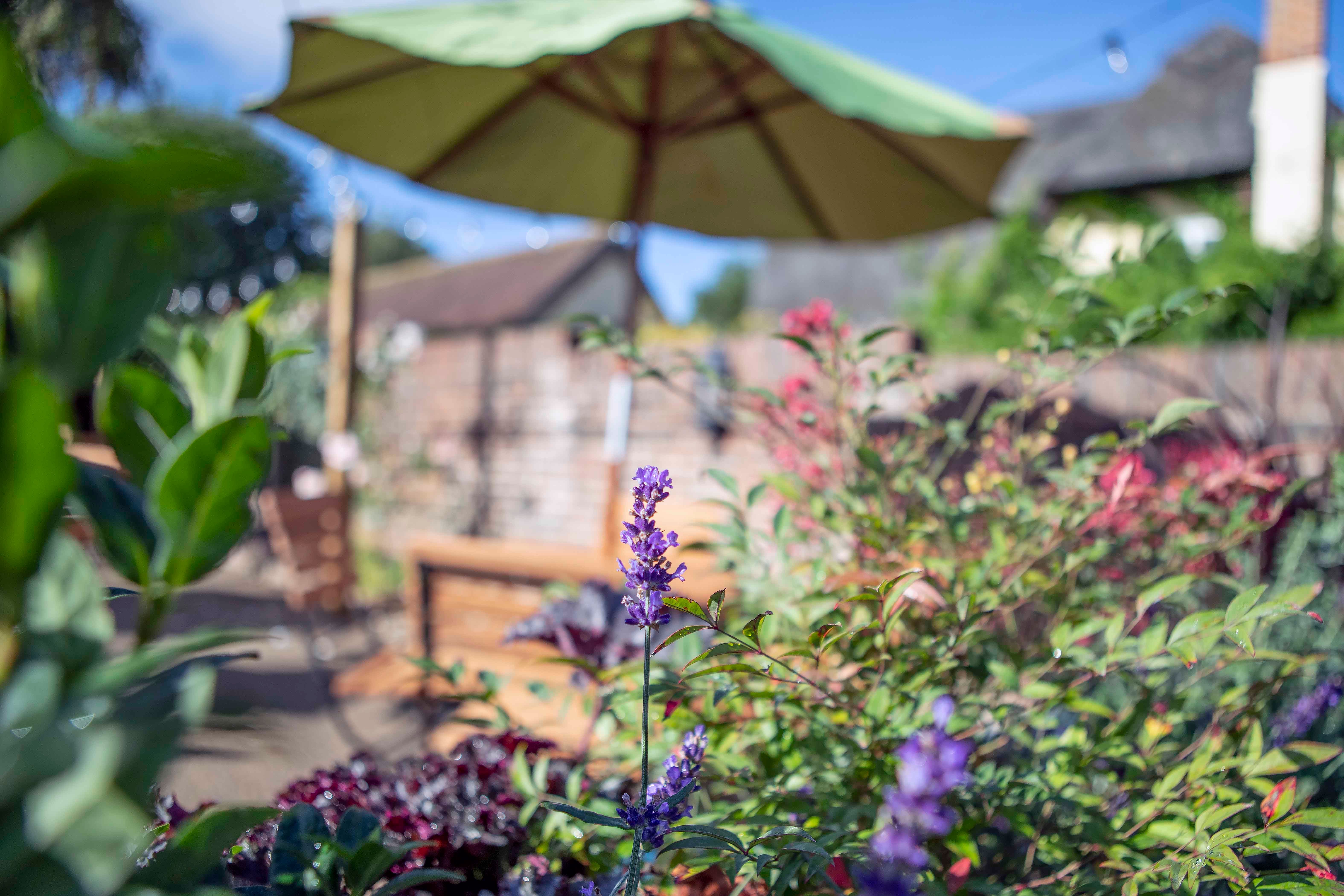 preview of our work at Axe & Compasses